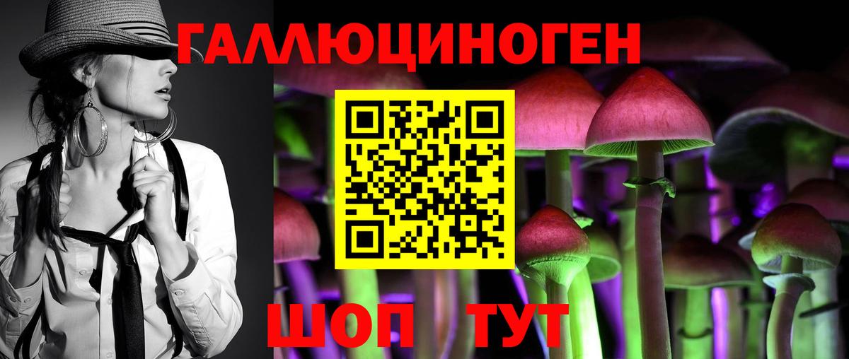 Псилоцибиновые грибы мухоморы  что такое наркотик  Гай  Вход с VPN  Галлюциногенные грибы Psilocybe 
